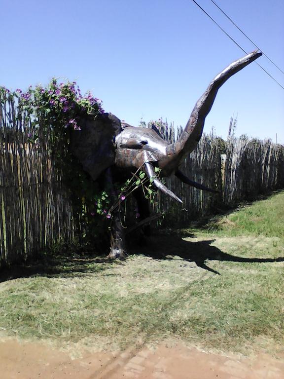 Elephant Lodge Guesthouse Vanderbijlpark Exteriör bild