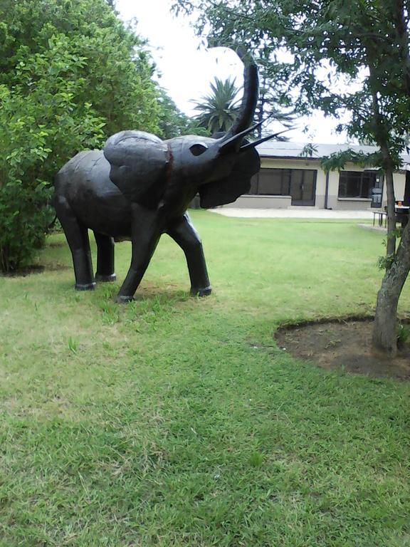 Elephant Lodge Guesthouse Vanderbijlpark Exteriör bild